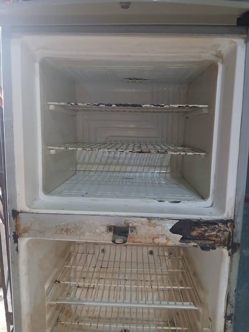 Waves medium size fridge 3