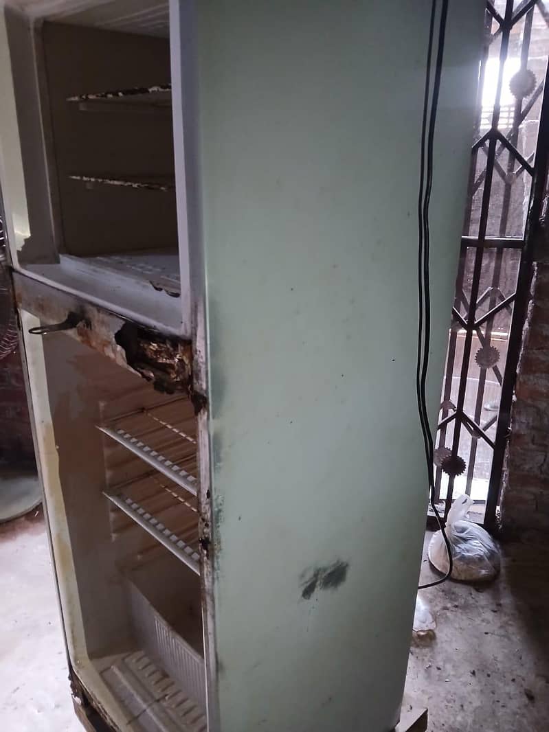 Waves medium size fridge 6
