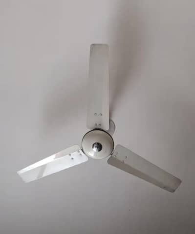 Royal Ceiling fan