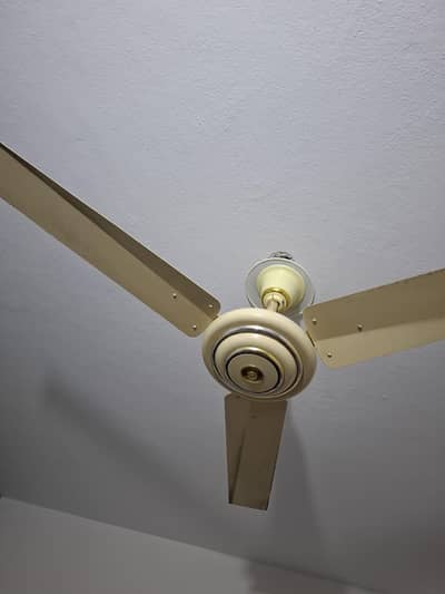 6 fan for sale coperwiding
