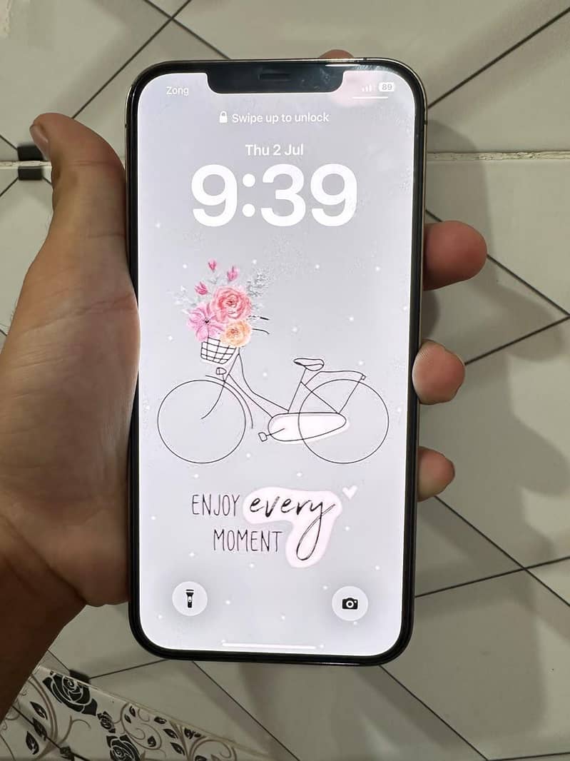 Apple iPhone 12 Pro Max 1
