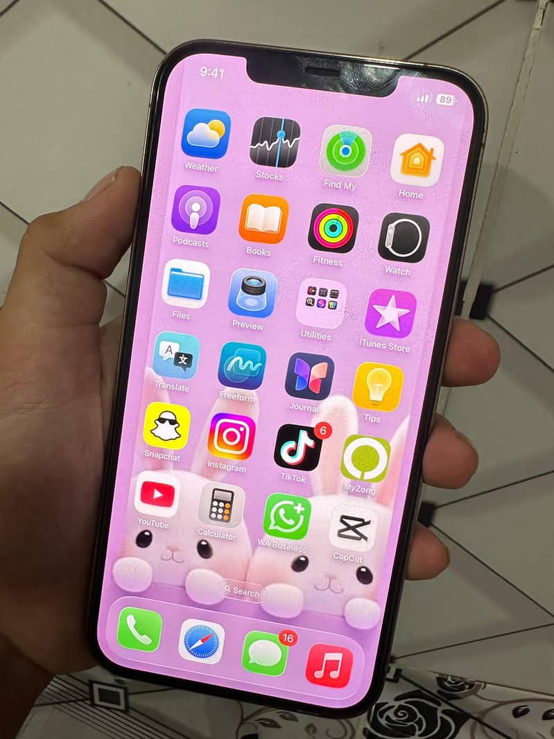 Apple iPhone 12 Pro Max 2