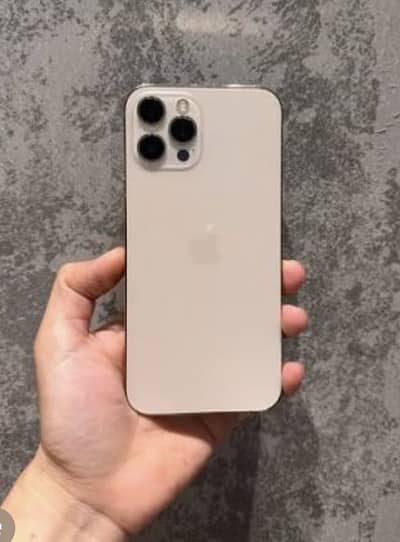 Apple iPhone 12 Pro Max