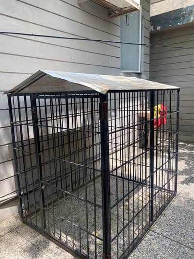HEAVY DUTY IRON ANIMAL CAGE/ DOG KENNEL WITH ROOF