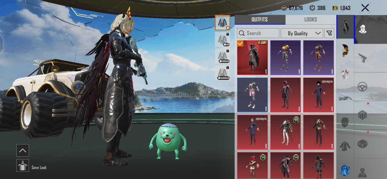 pubgi id 10