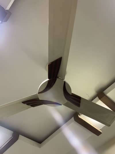 Fan for sale