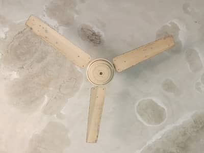 Ceiling Fan – Good Working Condition