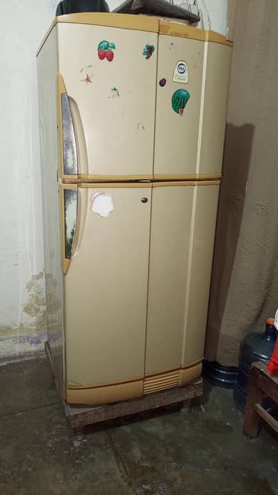 PEL Fridge best conditions