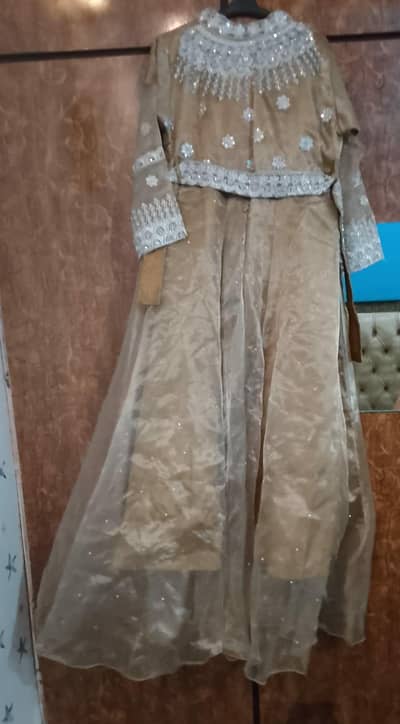 brand new organza dress