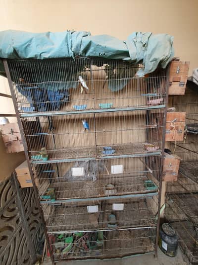 Bird Cage 10 portion
