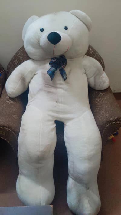 6feet teddy bear available
