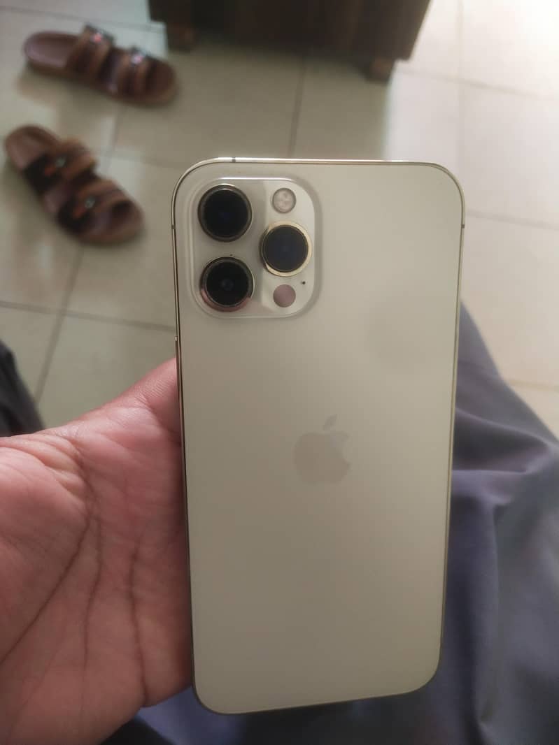 Apple iPhone 12 1