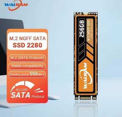 256GB M. 2 SATA SSD