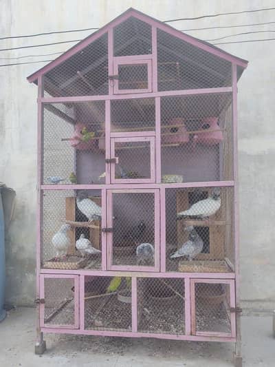 Beautiful birds cage for sale like new