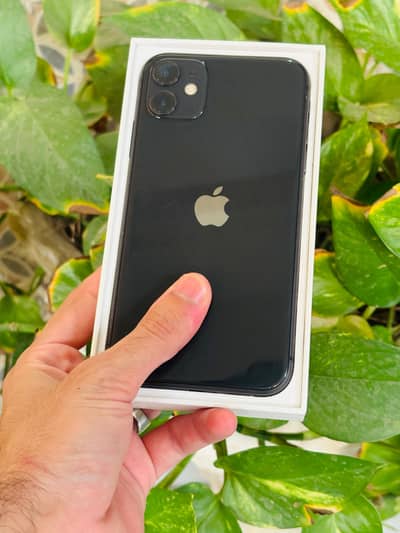Apple iPhone 11 factory unlocked