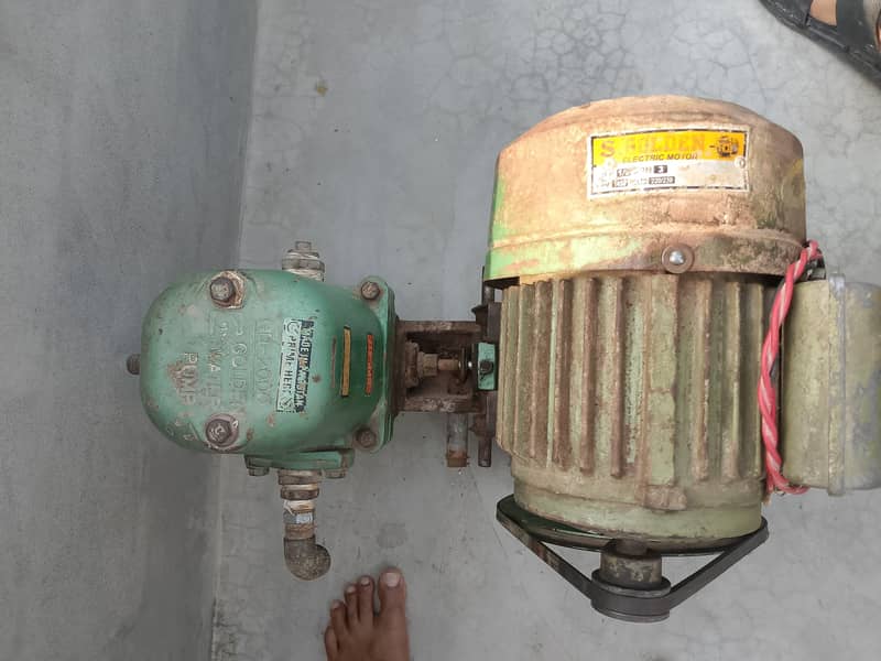 Donki pump 2