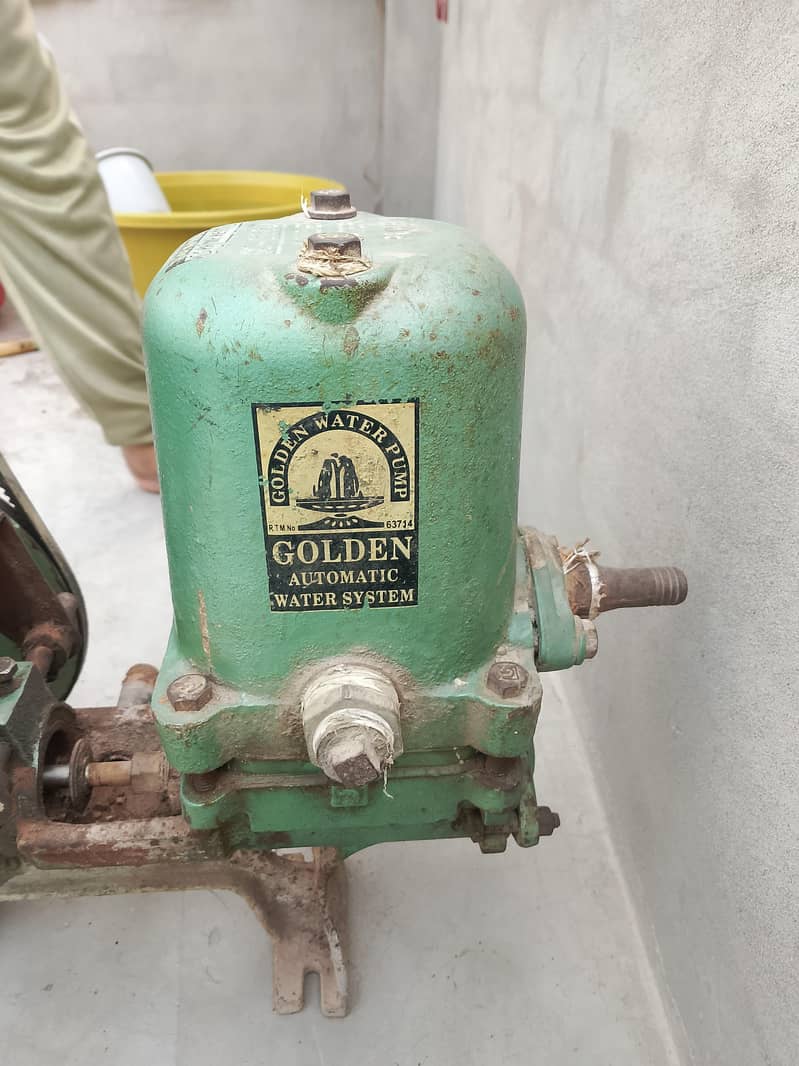 Donki pump 5