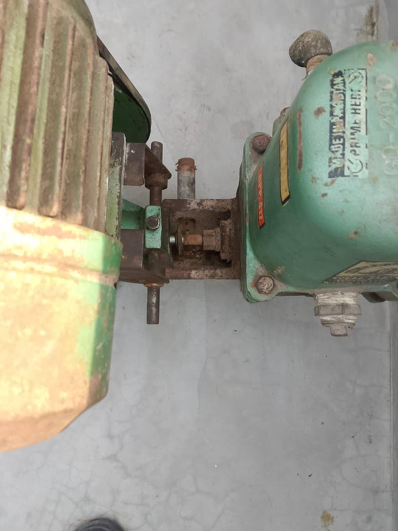 Donki pump 6