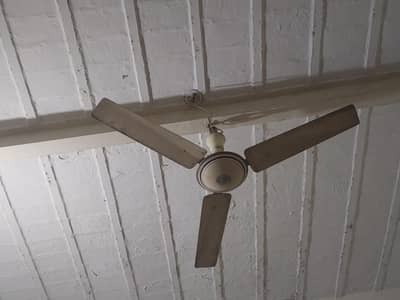 Ceiling fan for sale