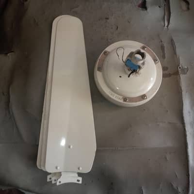 celling fan