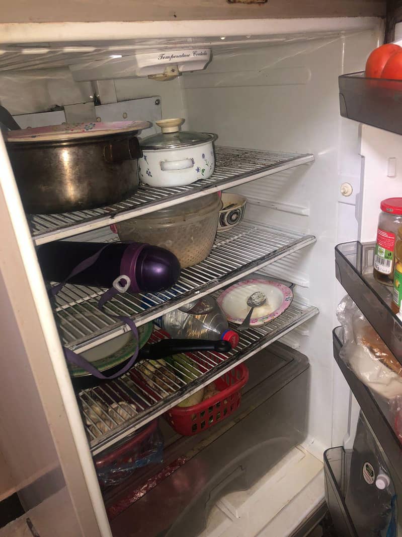 Fridge 5
