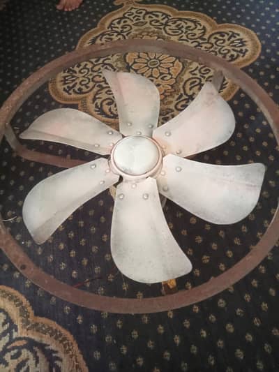 Cooler fan moter for sale