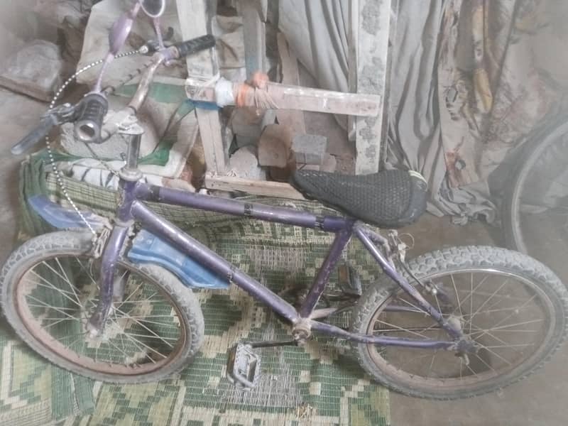 Bari cycle 0