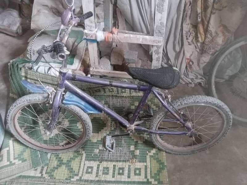 Bari cycle 2