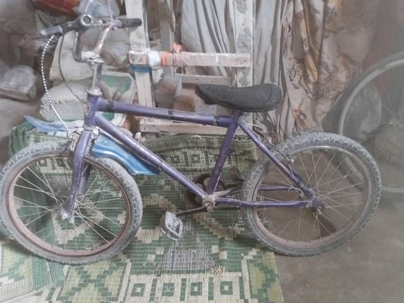 Bari cycle 4
