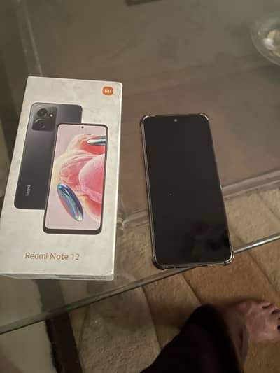 Xiaomi Redmi Note 12 Pro 8   128 panel change