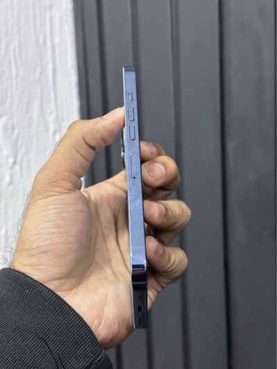 IPhone 13pro PTA Approved