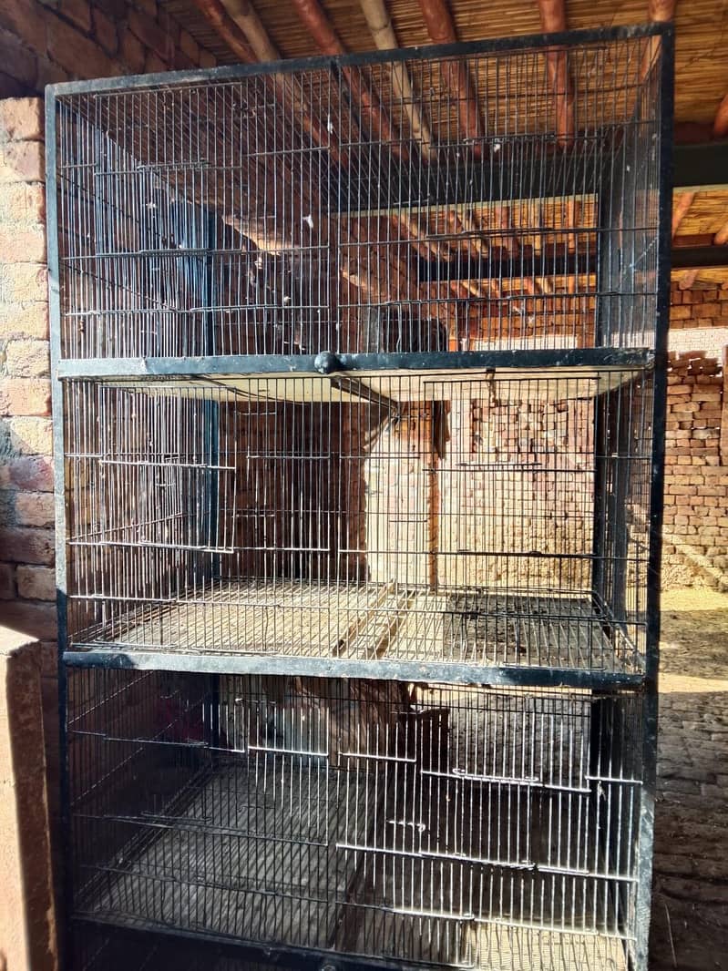 Han cage 0