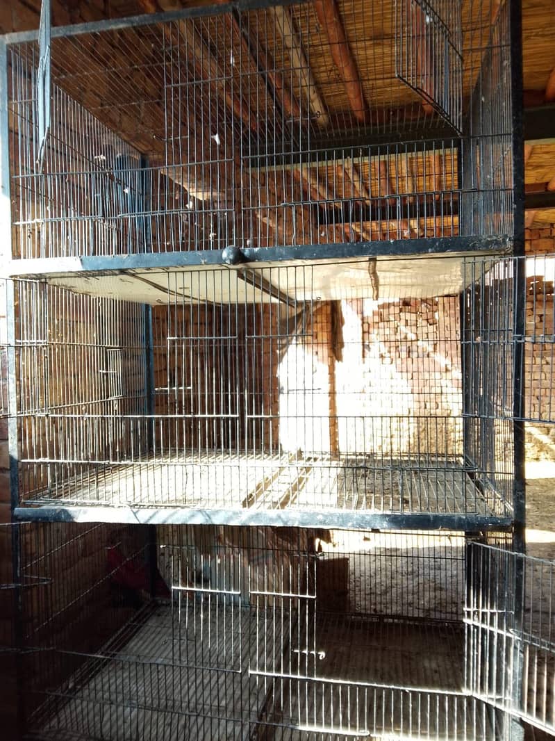 Han cage 1