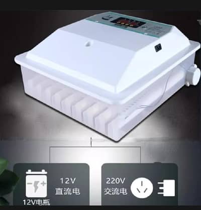 Fully automatic ac DC 62 eggs incubator