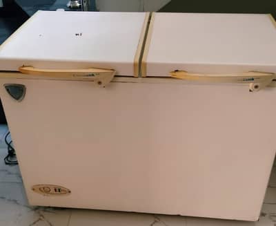 Deep Freezer Double Door Waves Cool Bank