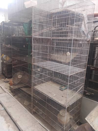 Big 4 floor big birds cage