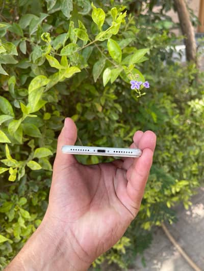 Apple iPhone 8 Plus