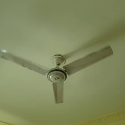 cieling fan