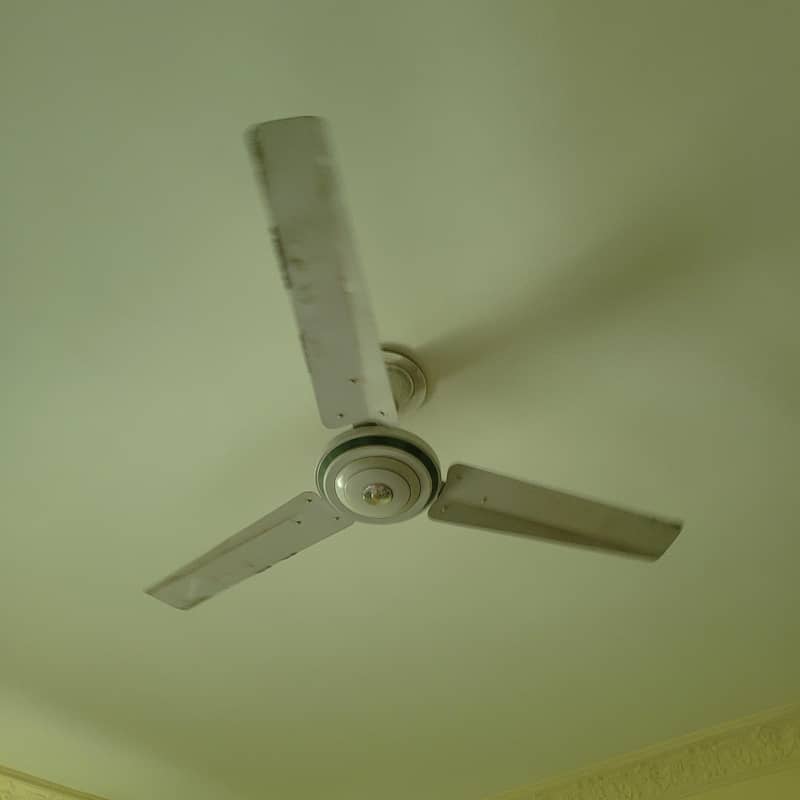 cieling fan 1