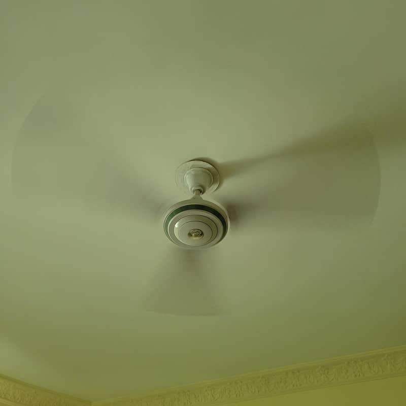 cieling fan 2