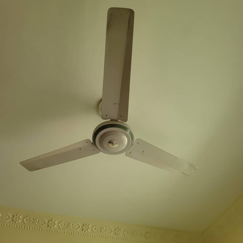 cieling fan 3