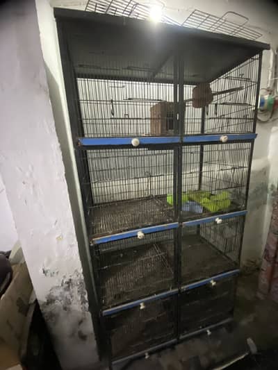8 portion cage for perrots