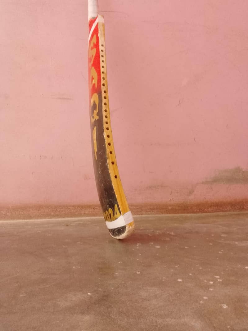 SAQI BAT 1