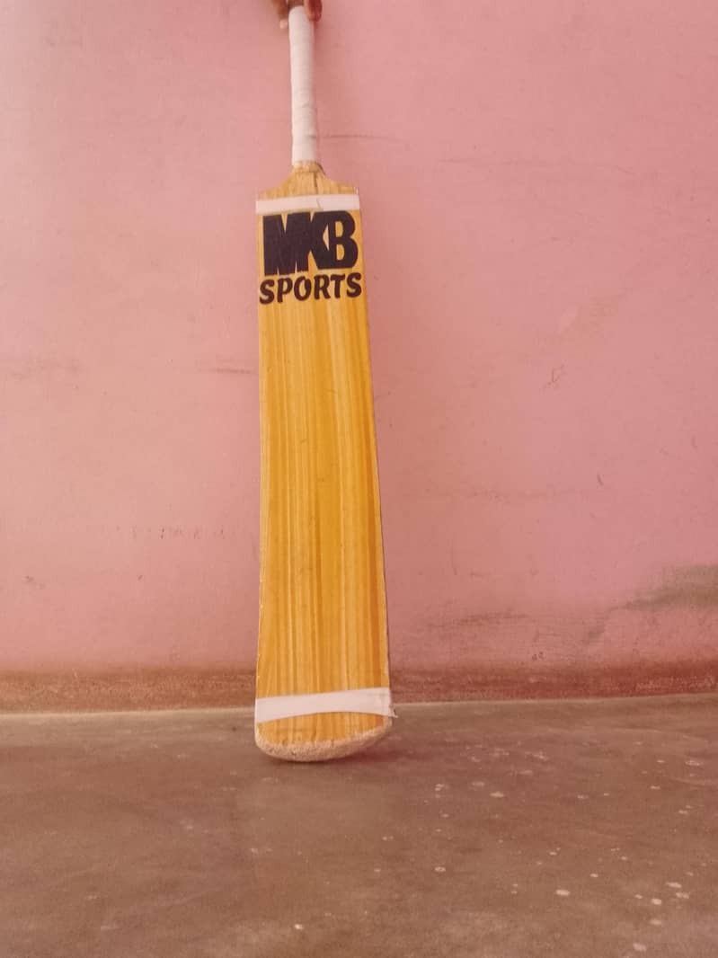 SAQI BAT 2