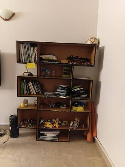 Custom built Geometric Shelves