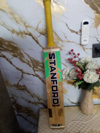 hard ball bat