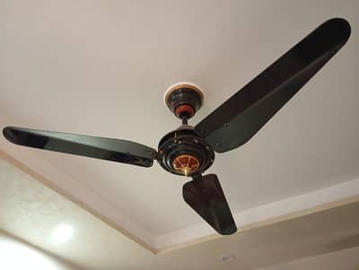ceiling fan