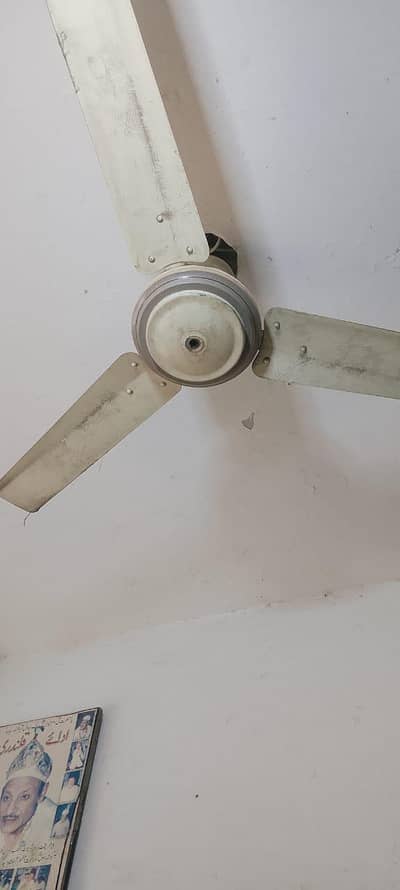 fan for sale