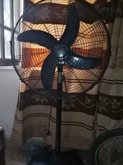 Sufi stand  fan