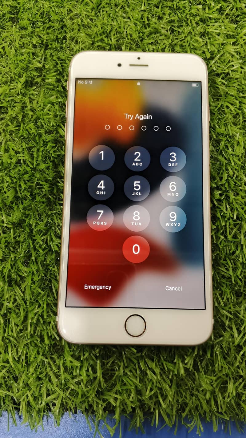 Apple iPhone 6S Plus 1